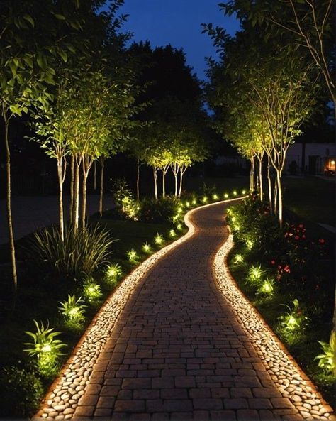 Garden & Landscape - O