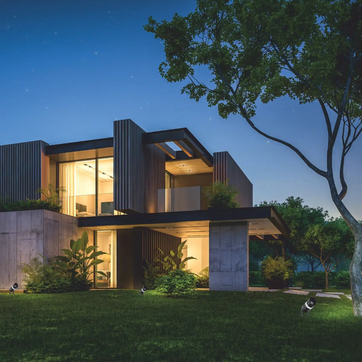 Focus Light - Spot Light