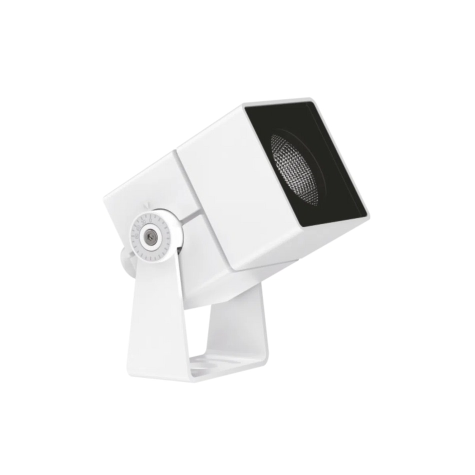 Focus Spot Light: EST-D500103C