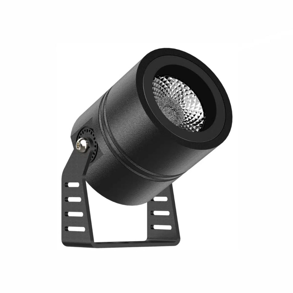 Focus Spot Light: EST-GD420103