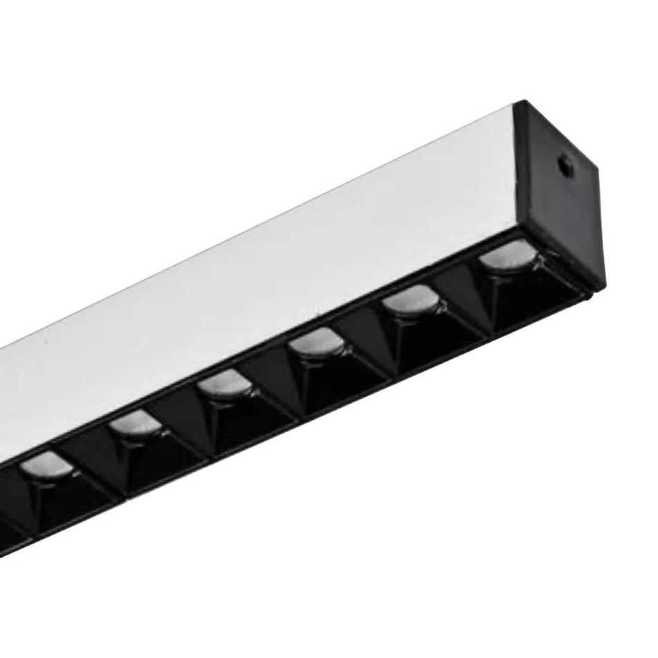 Suspended Profile Lighting RLL 184-BM2427